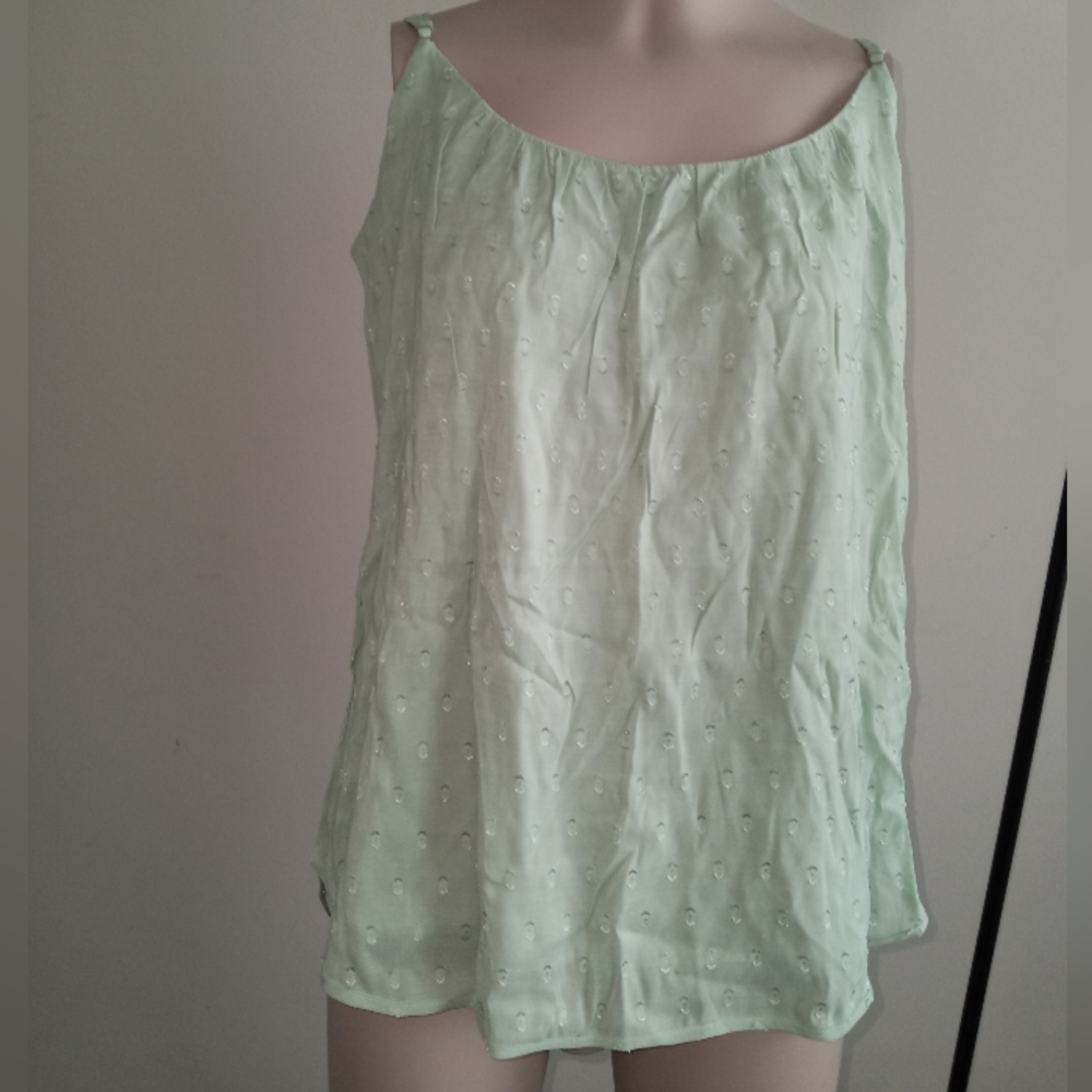 The limited mint green sleeveless blouse size medium New with tags